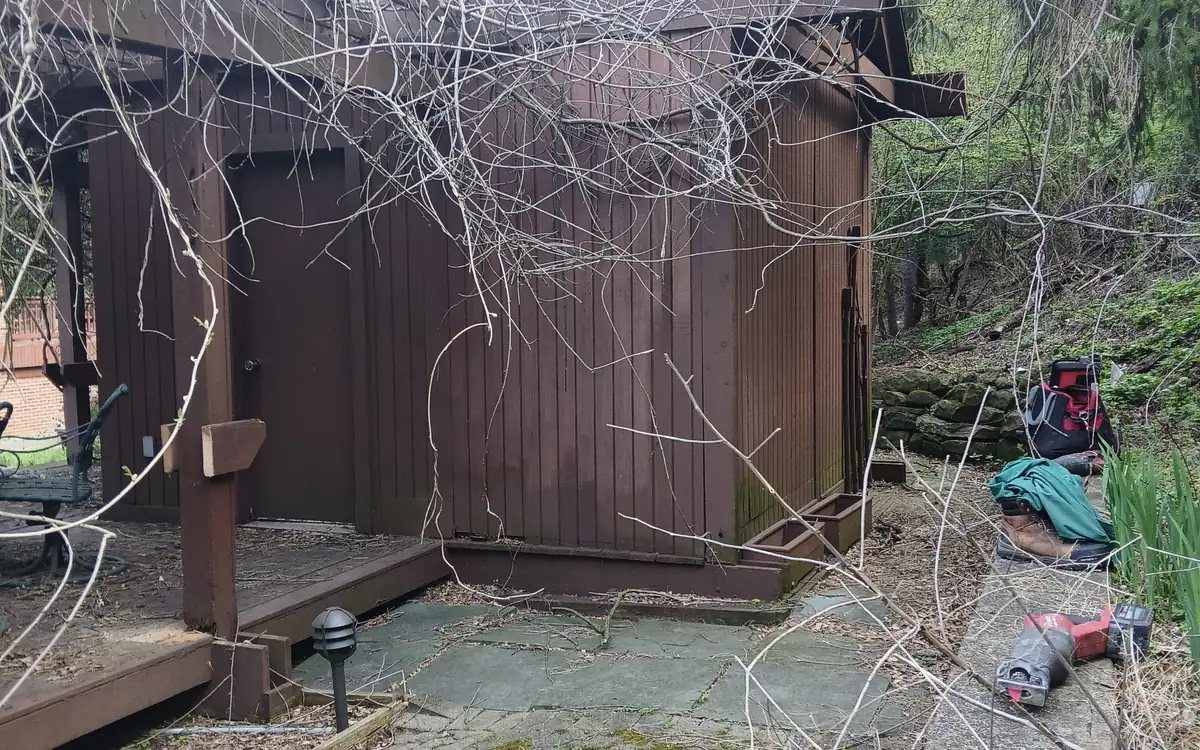 An overgrown deck and outbuilding before clearance work started