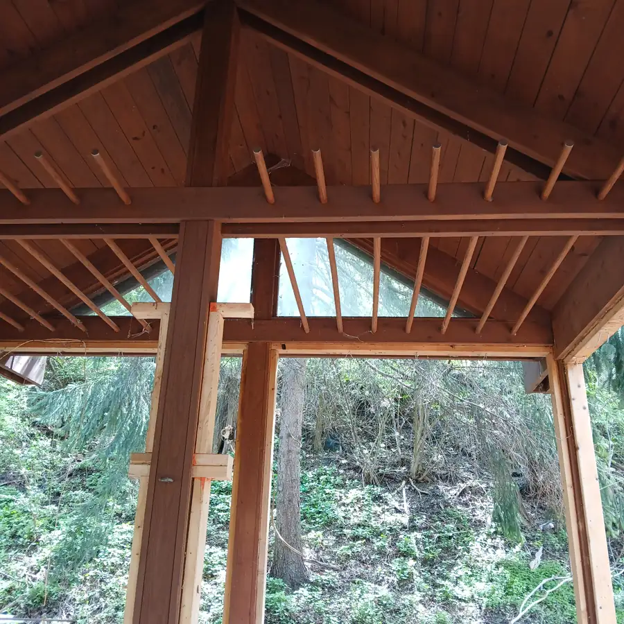 New timber framing and rafters seen from underneath a finished porch roof